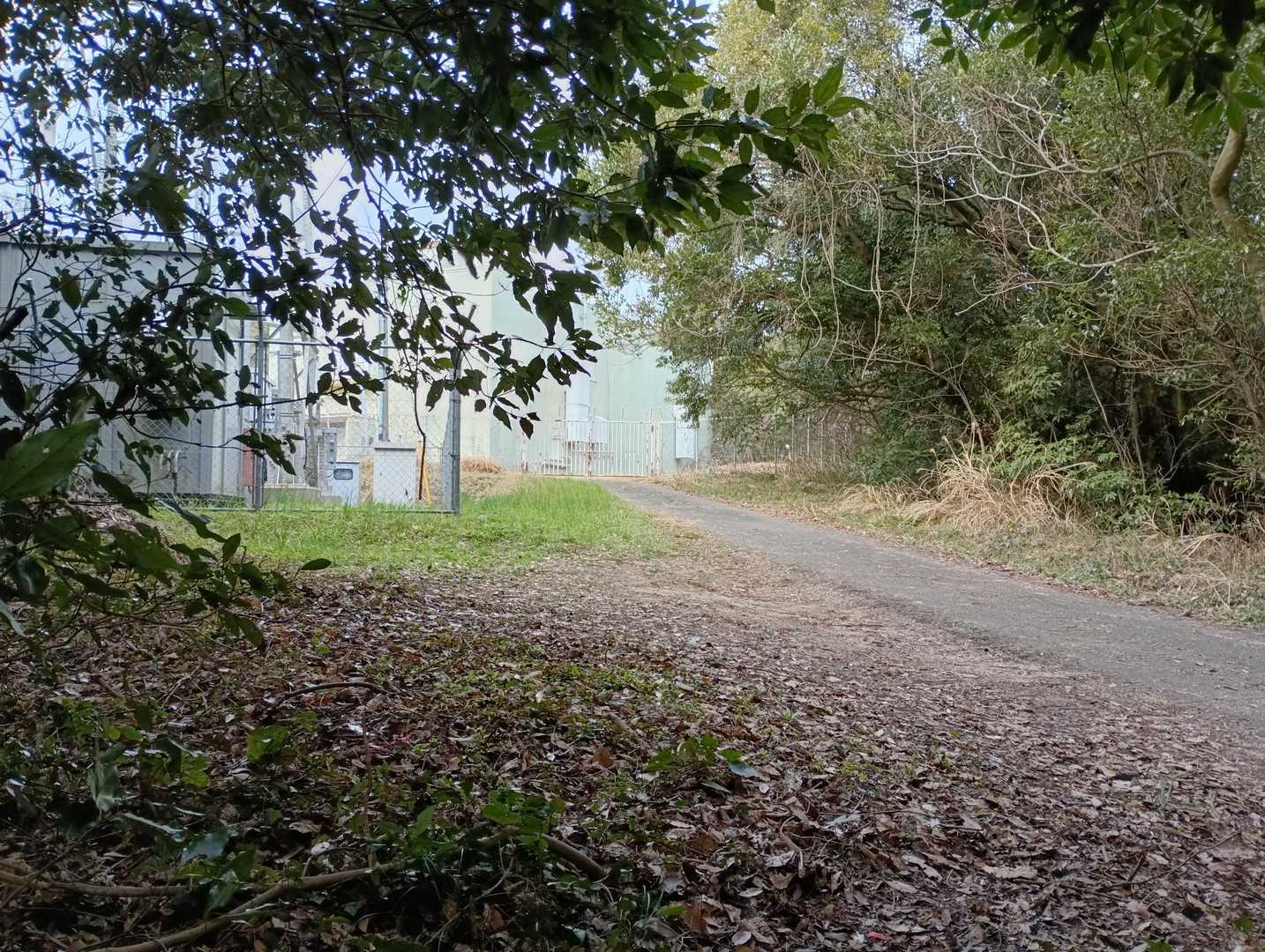 ここまで🚙で上がって来られます。