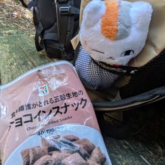 行動食セブンの新商品かも？