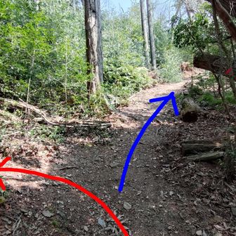 赤　行者谷山(グレーピーク)
分岐がわかりにくい
青　藤尾奥山(グレーピーク)