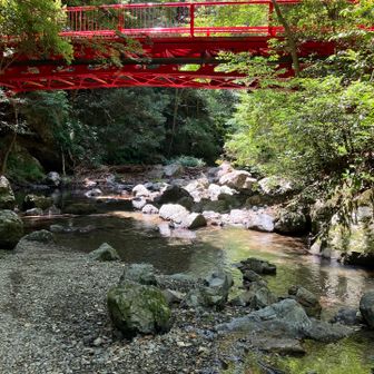 お腹も満足して…

ここ、往路で通った時に
いい水遊びスペースやなって言ってたところ

ちょっと…いいよね😄