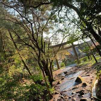 無事下山
ありがとうございました❗️