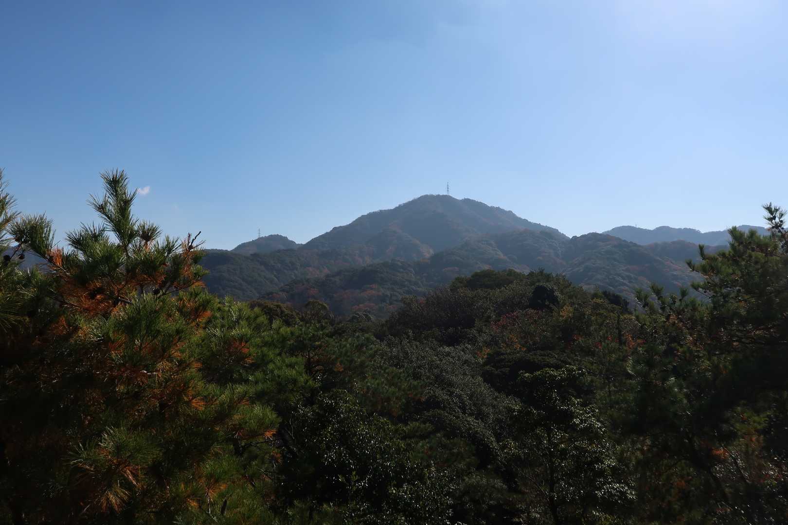 飯盛山を見返します