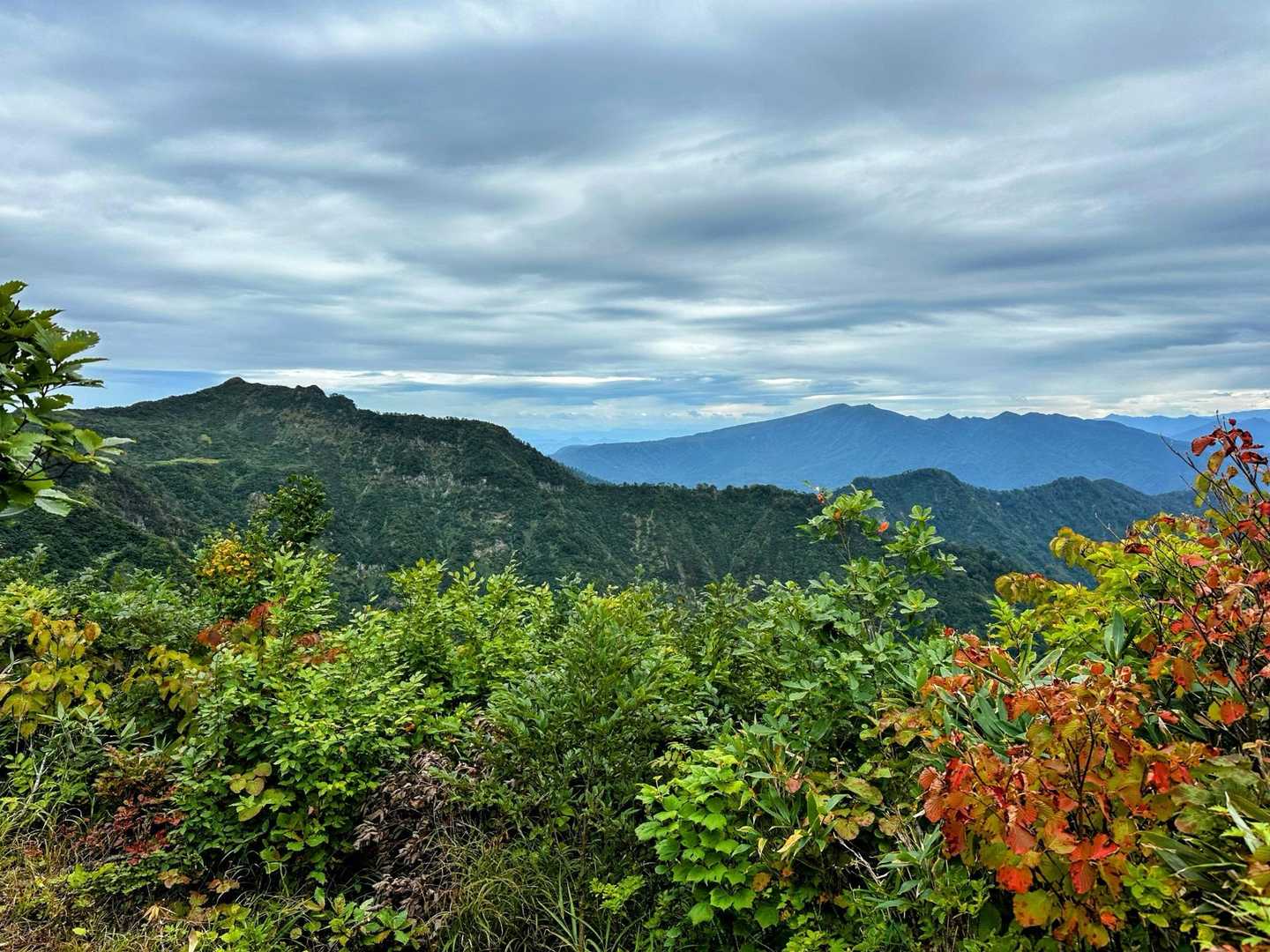 大白川登山口-守門岳 往復コースの写真