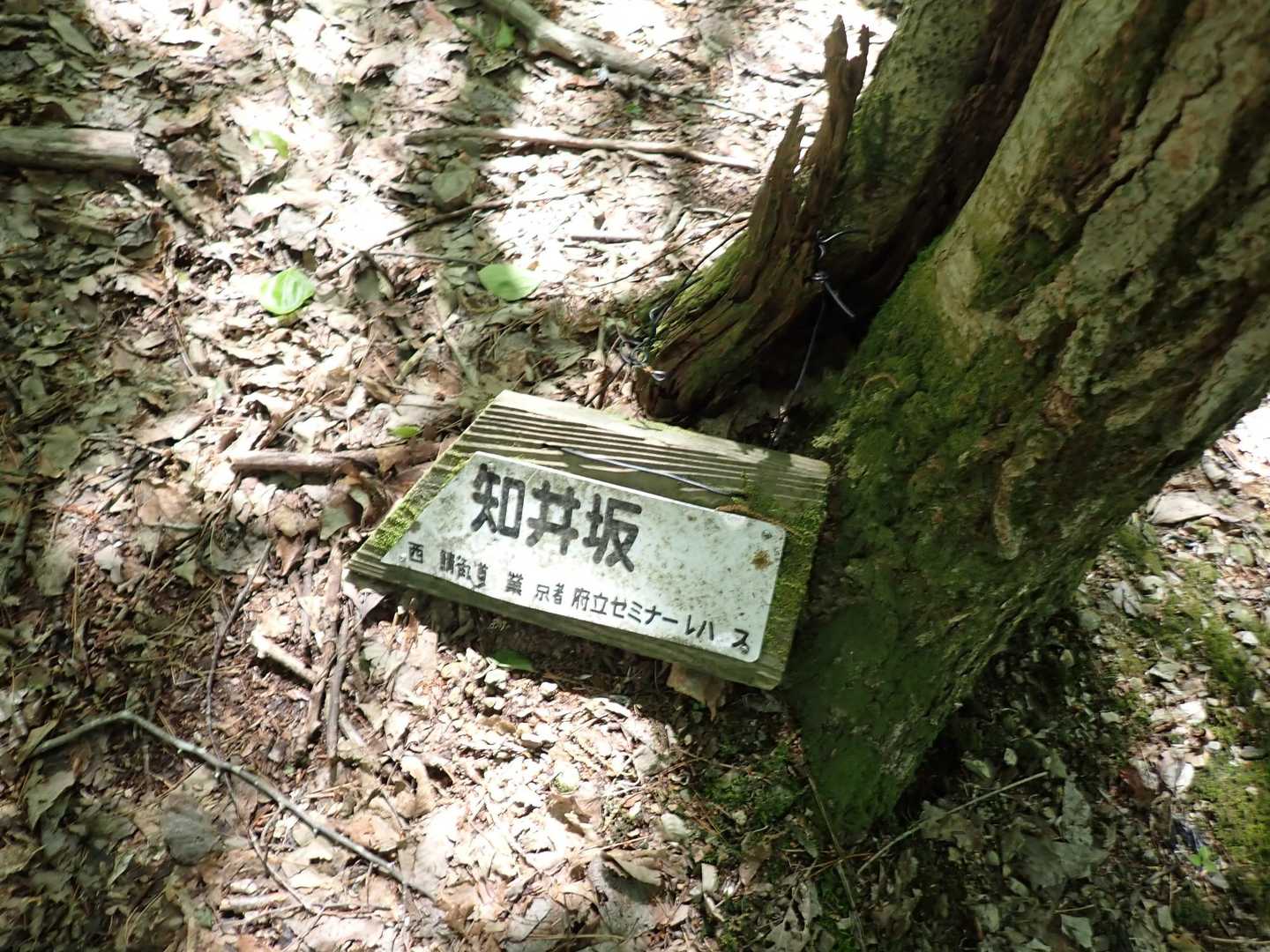 「知井坂」
若狭から京へ物資を運ぶ重要な街道だったそう。
西の鯖街道中に位置する。