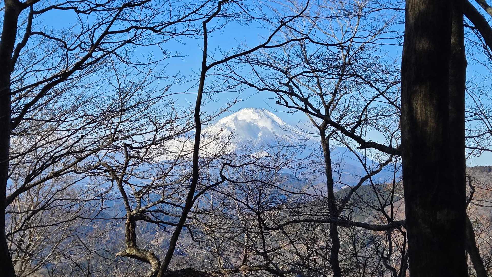 高松山入口バス停-ビリ堂-高松山-フトウ山-桜丸-ダルマ沢 縦走コースの写真