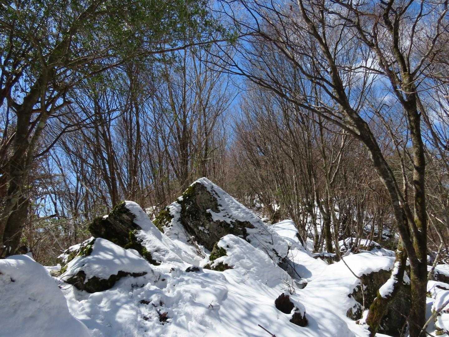 青空を楽しみながら歩く。