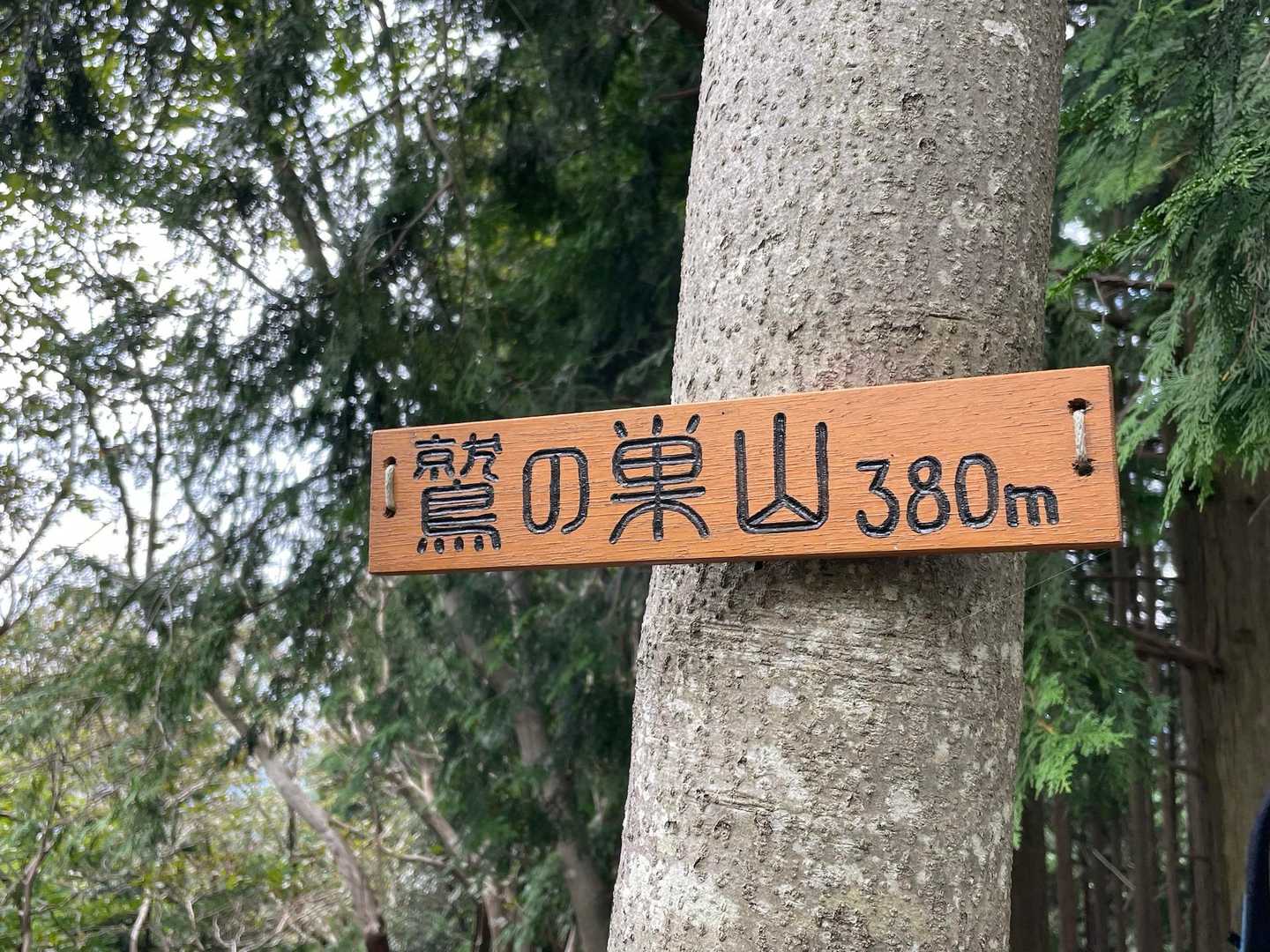 右に看板