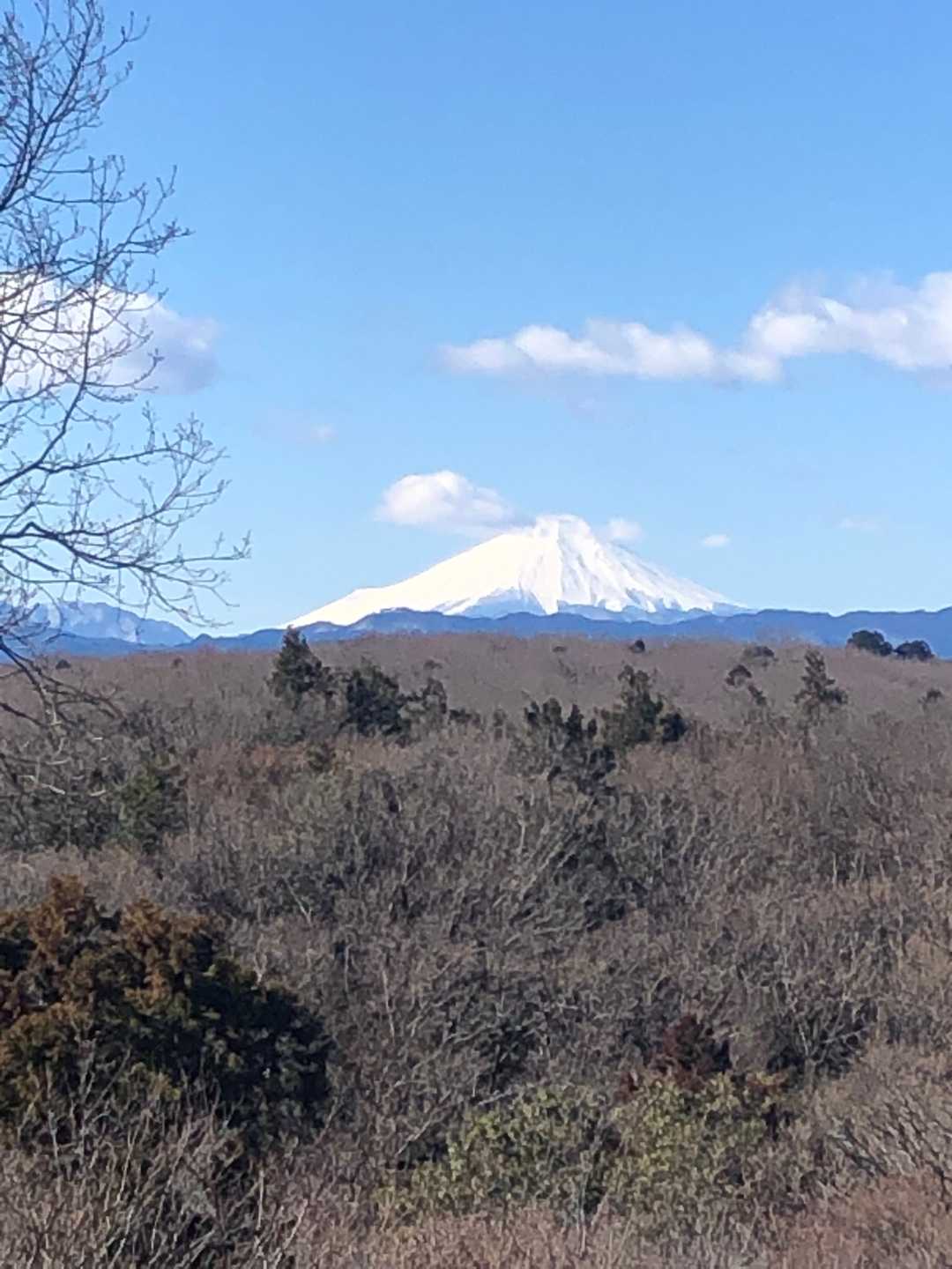 ここからもきれいな富士山。