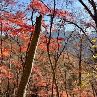 奥には妙義山🏔️
