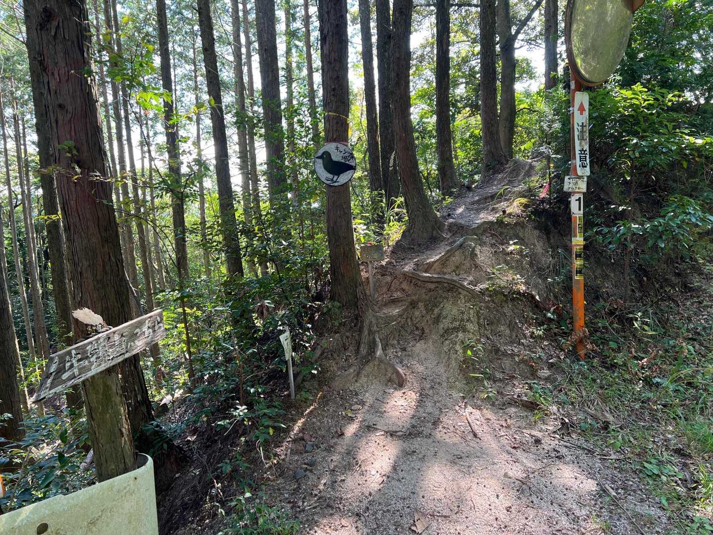 牛頸山入口-牛頸山 周回コースの写真