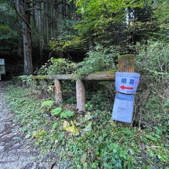 ダイトレ大会の順路はこっちデスね