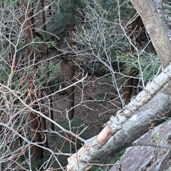 分かりづらいですが、10メートルすっぱです。落ち葉が多く危険です