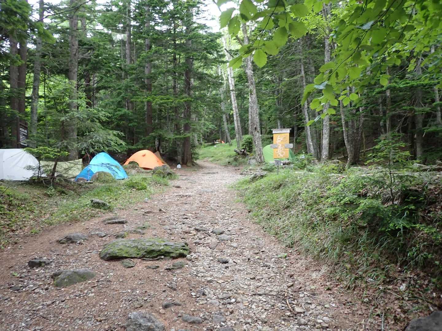 本沢温泉のテン場。
広くて良さげです👍
ネックはトイレが遠いことだな