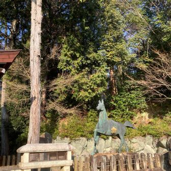 尾張富士麓の神社の神馬🐎
