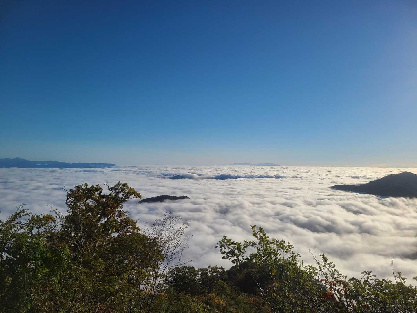 天狗平コース登山口-桧山沢吊橋-休場ノ峰-千本峰-宝珠山- 周回コースの写真