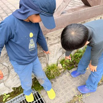 上に置くと片付けられてしまうので、今回は下へ置くことに✨
我が家の尾瀬のお友達😊