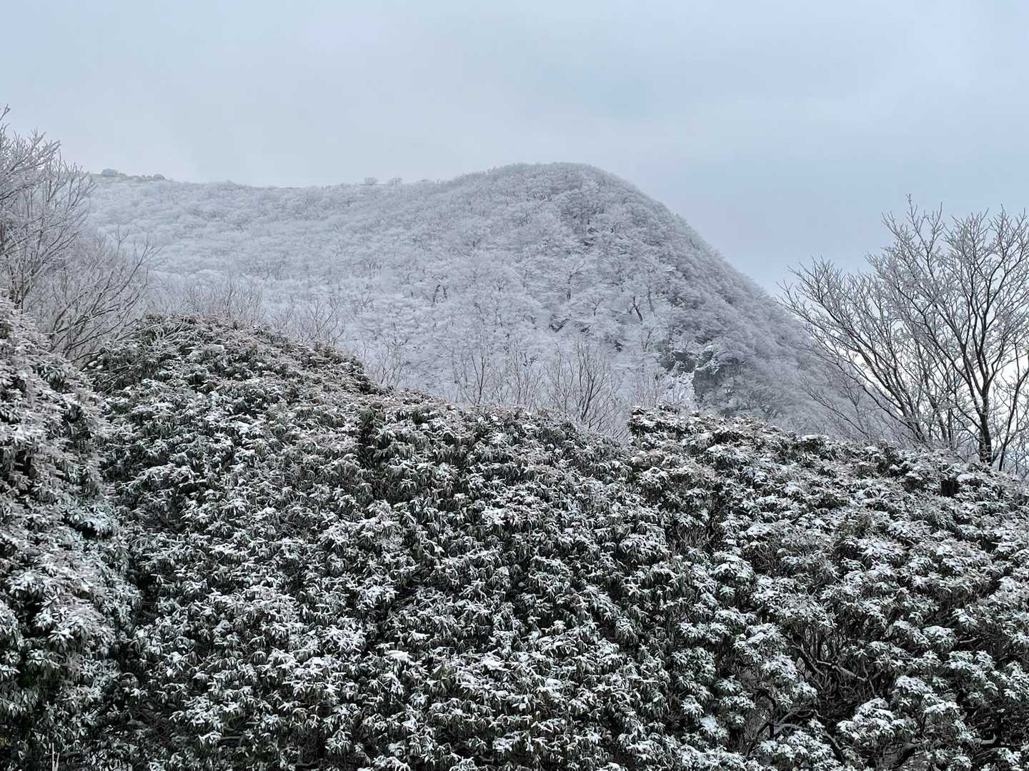 振り返る