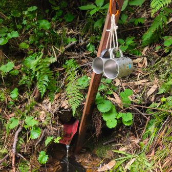 栂海山荘に水場は無く、手前の北俣ノ水場で汲む。冷たくて美味しかったが、ここで3L汲んで山荘までがキツかった😂