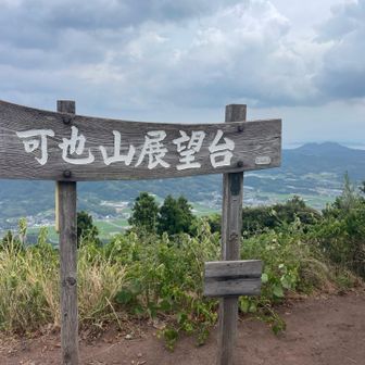トンボが一杯飛んでた