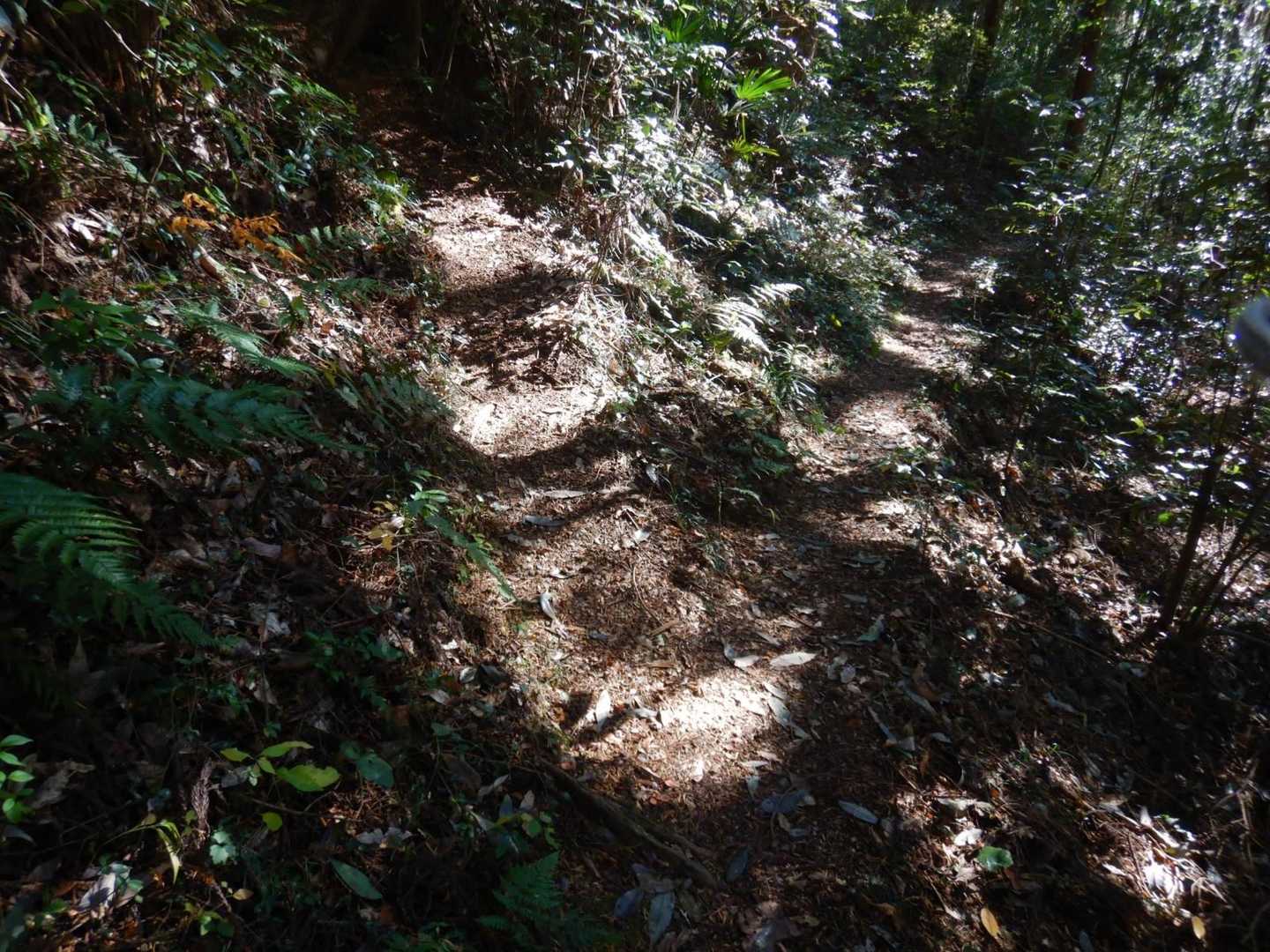 左水道山へ