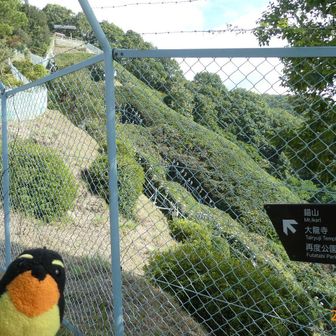 錨山、近すぎてイカリの形が分かりません😅