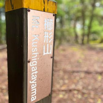 ほい、山頂到着🙌🏻