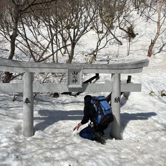 おしぇーおしぇー