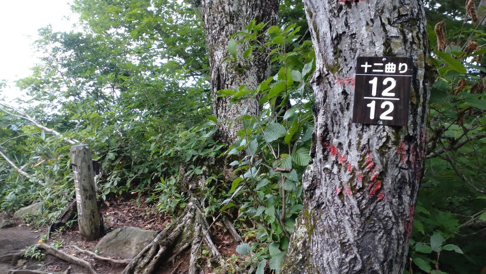 あれ？終わっちゃった？
意外とアッサリ登れた😅