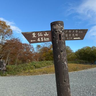そういやハトマチベースからも
登れたんだよな至仏山
忘れてた