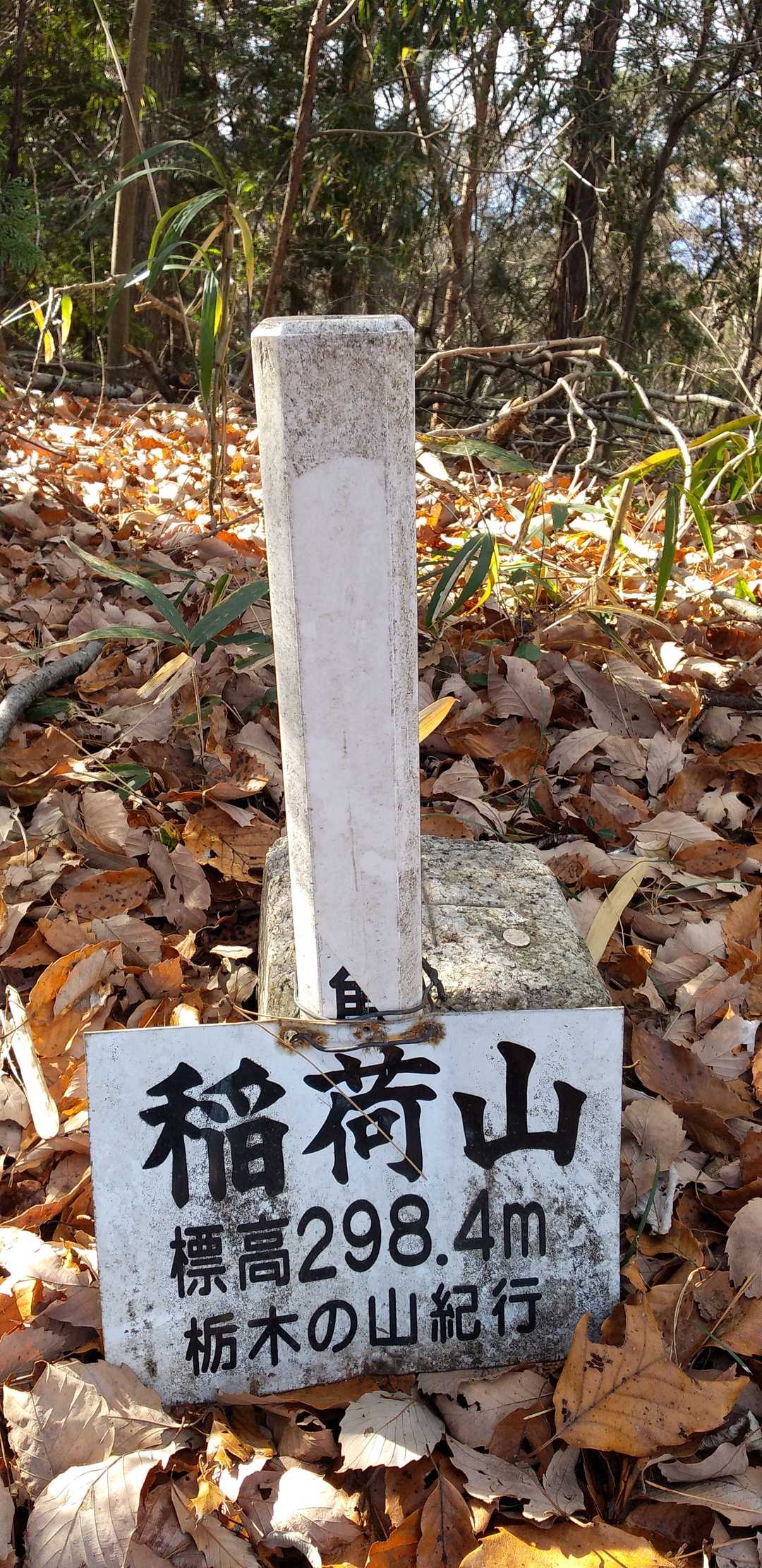 稲荷山山頂