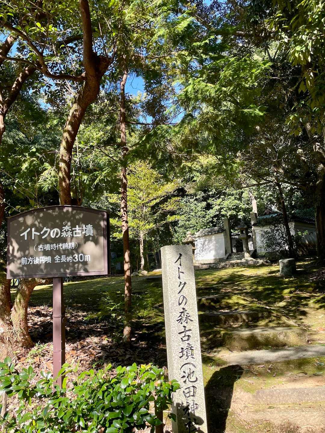 イトクの森古墳