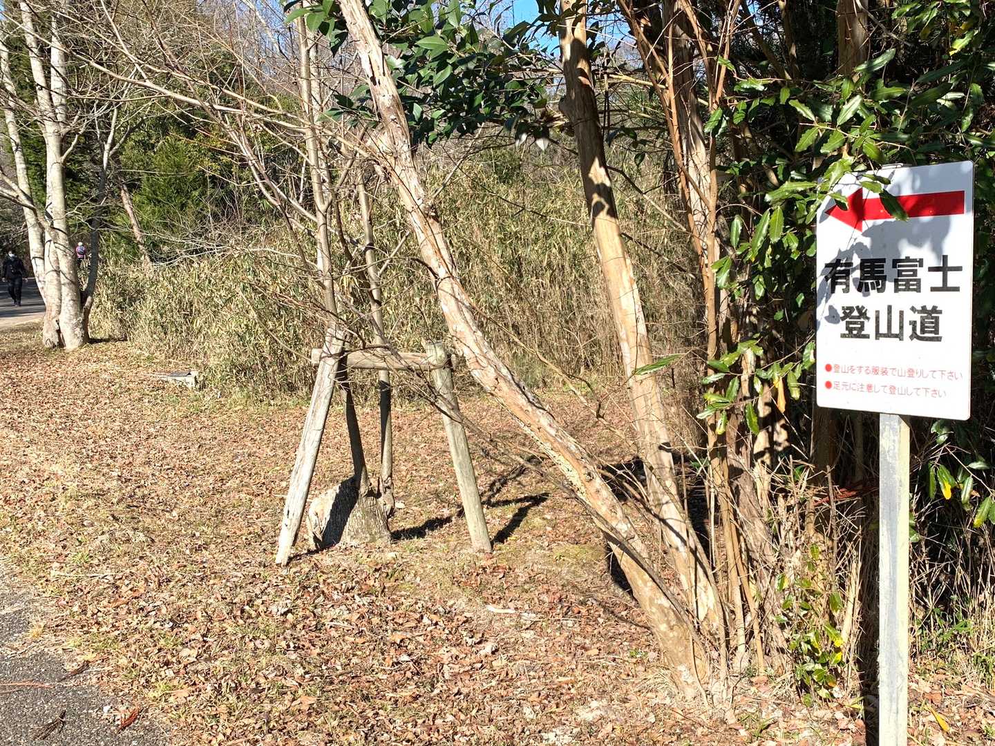 池を周回し、いよいよ登山道
…と言っても舗装のハイキングコース