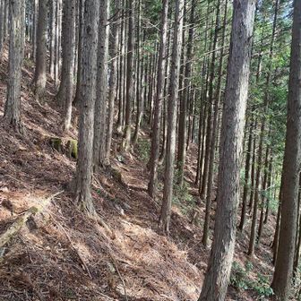 ようやく少し落ち着く