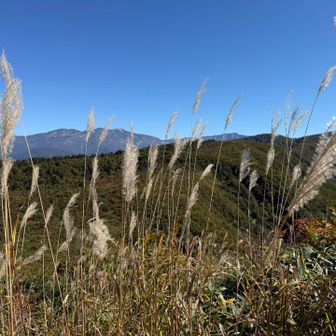 秋らしいねぇ🍂
景色、最高〜😊
