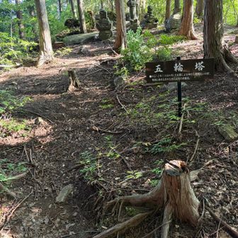五輪塔、いつもやったら休憩するんやけど、🪰ブンブンやから、休憩できず🥲
