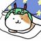 ネコノ