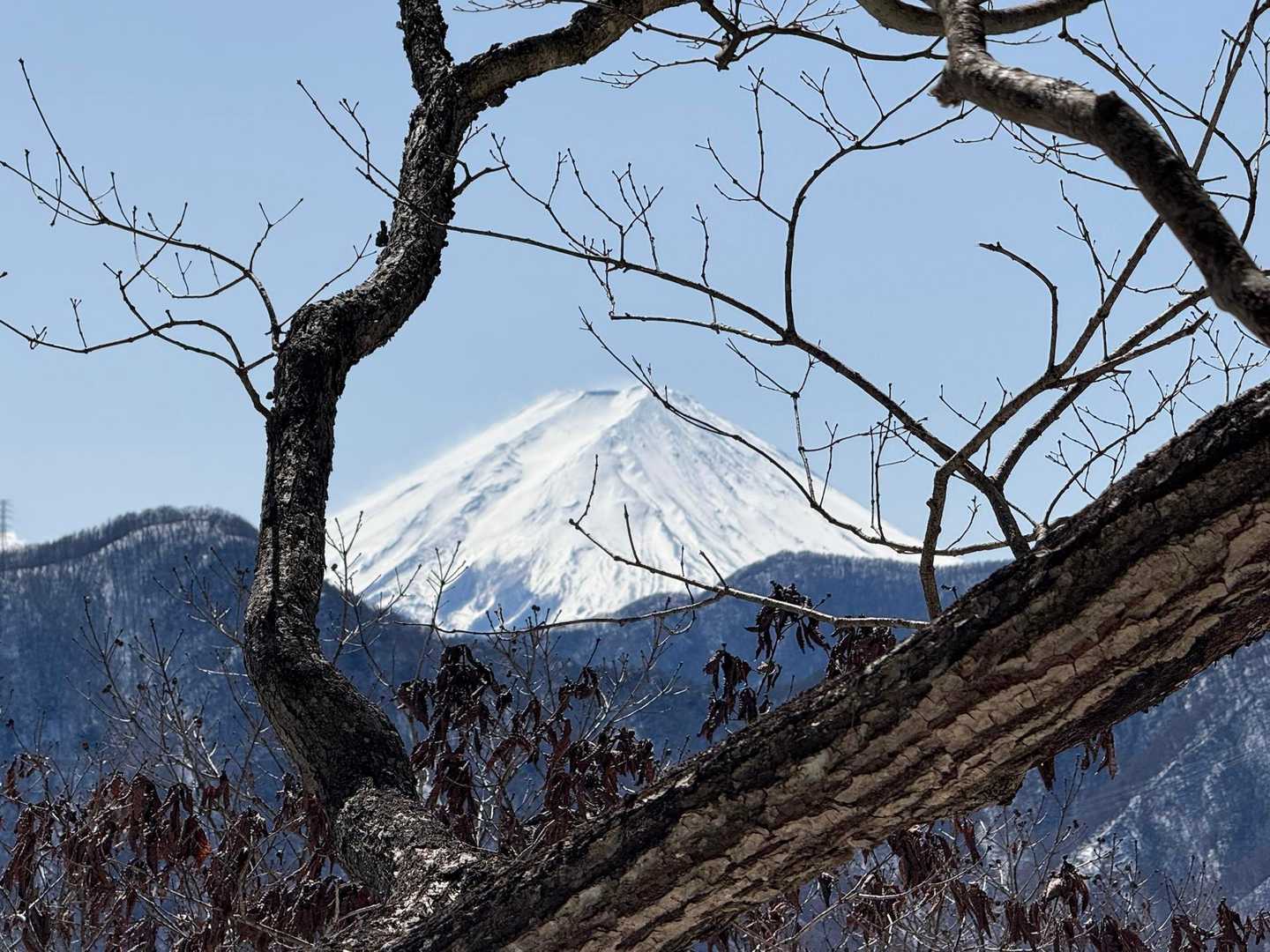 富士山！