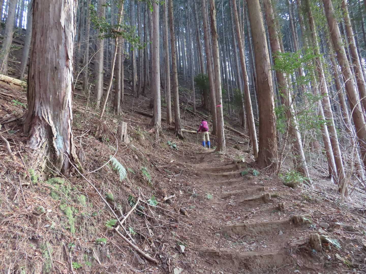 登り初め
やや傾斜有り