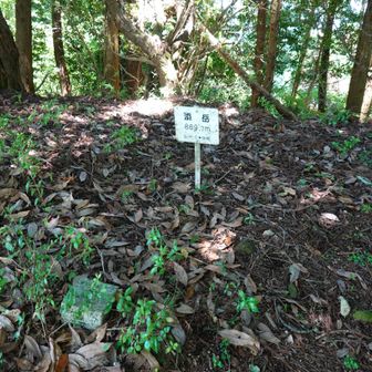 添岳山頂
ここで軽くお昼にしました。疲れがあってあまり食欲がなかった。
