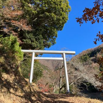 コンクリ舗装路からお参り