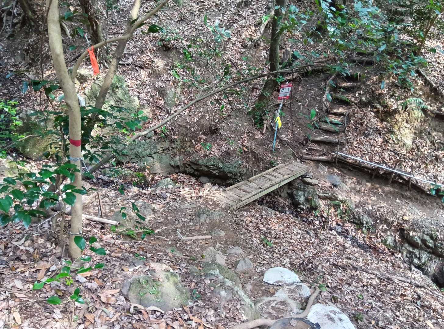 順調に下りて行きます。
ここも四ツ辻。YAMAP確認。