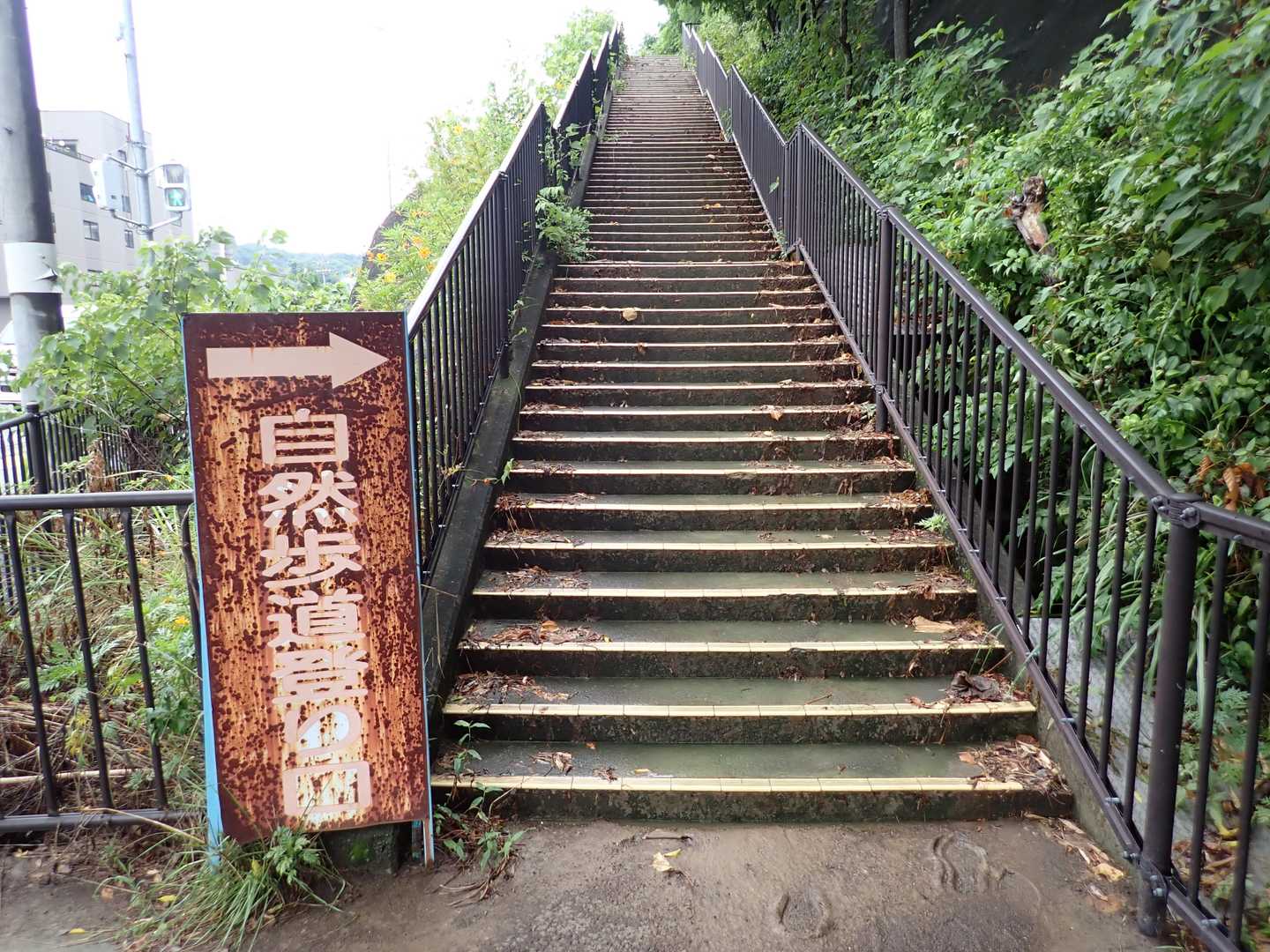 長い階段から登山道に入る。