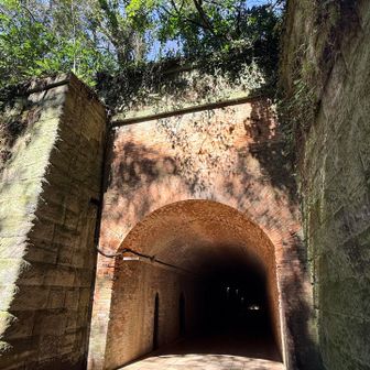 猿島のバケトン

三男がガイドツアーで
「おばけいますか？」なんて
小学生みたいな質問をする。