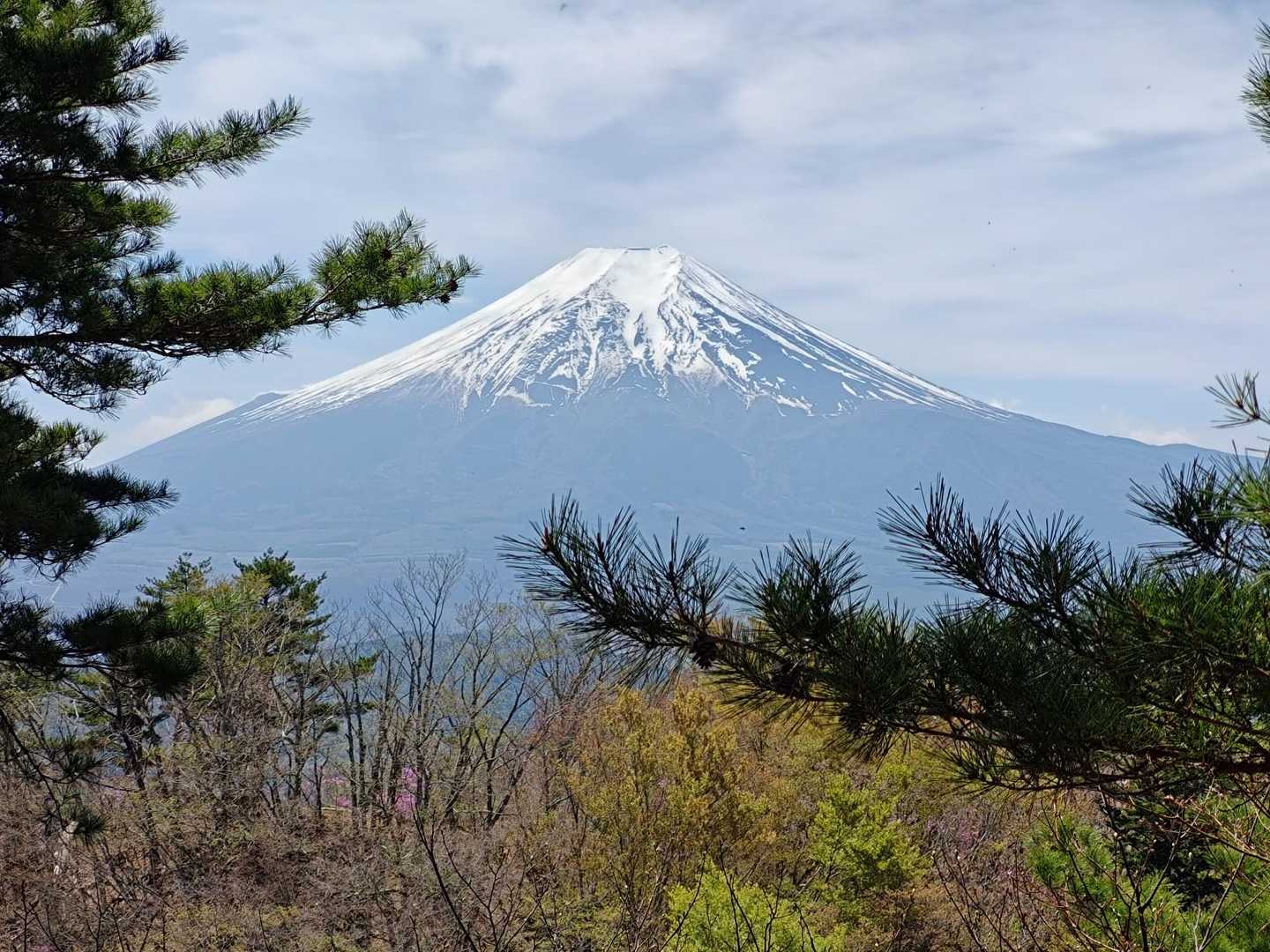 三つ峠駅-倉見山 周回コースの写真