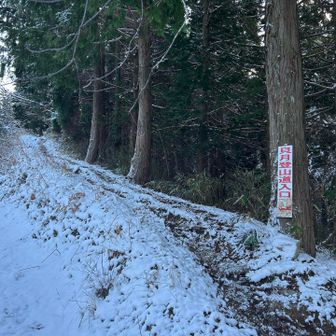 少し林道を歩いてここから入山。