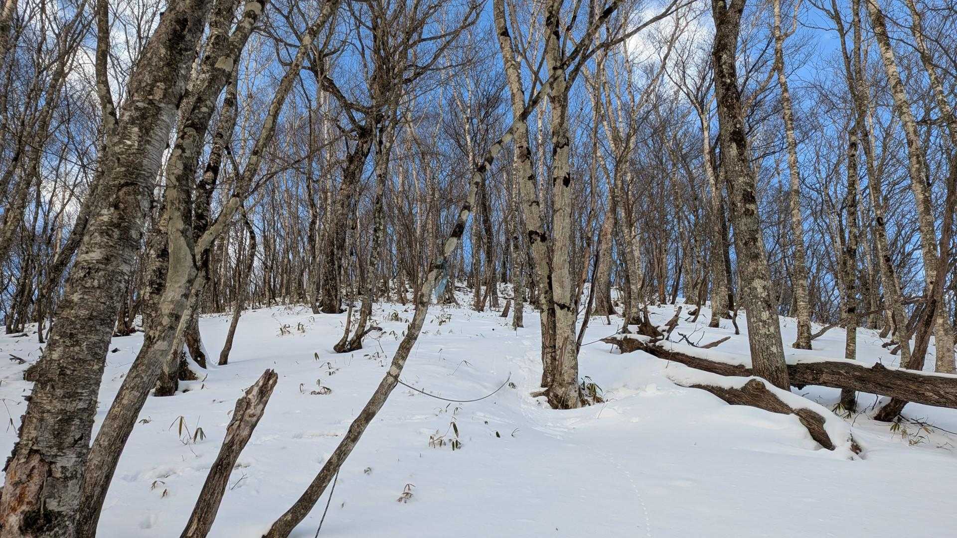 前山手前の急登
アイゼンつけました