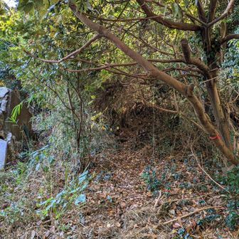 七面山ってピークがあるみたい。
高級別荘の監視カメラがガッツリ監視してる傍を通る