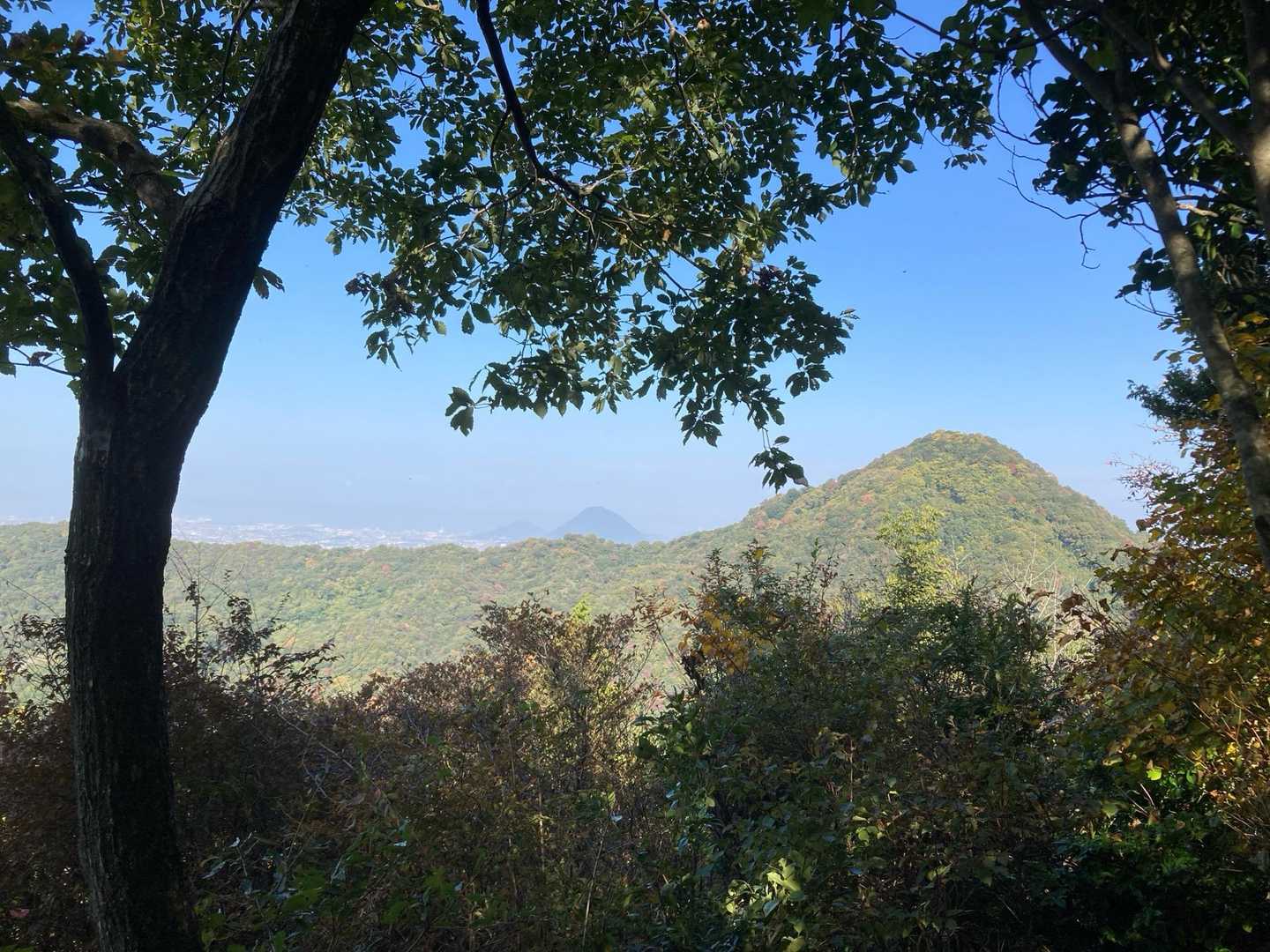 次に向かう猫山