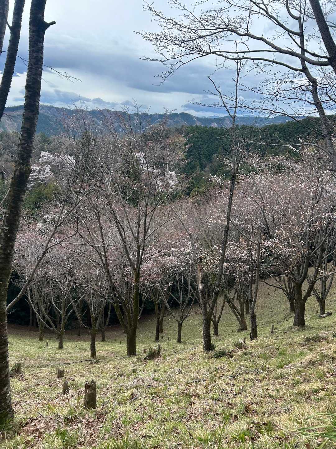矢倉台-三方山 往復コースの写真