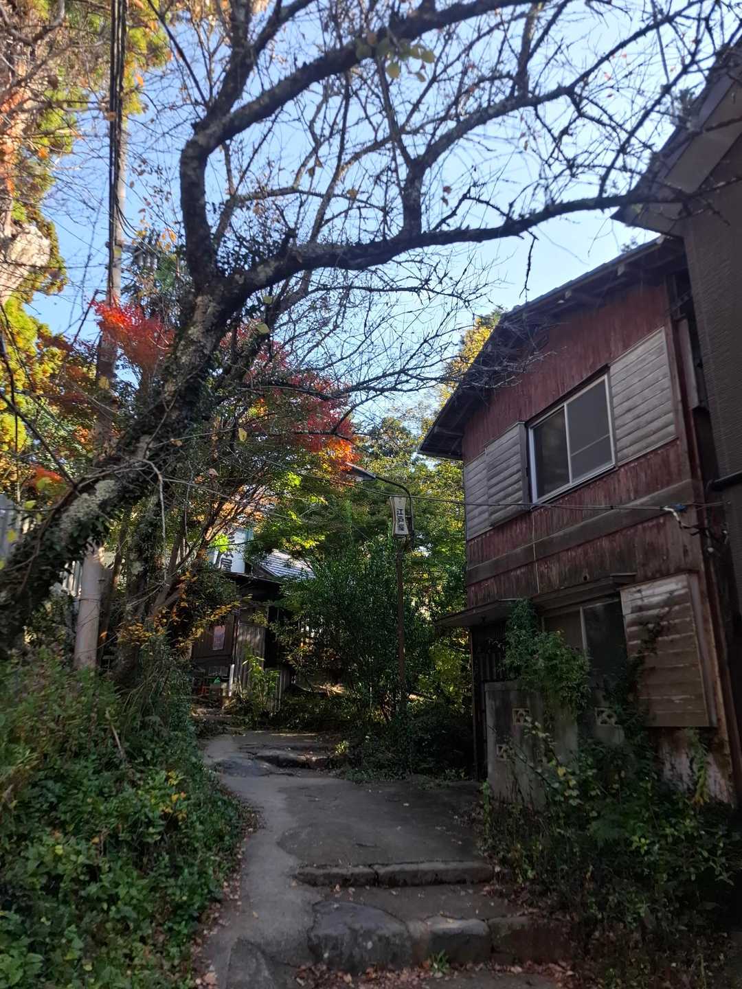 筑波山神社-つつじヶ丘-筑波山-御幸ヶ原 周回コースの写真